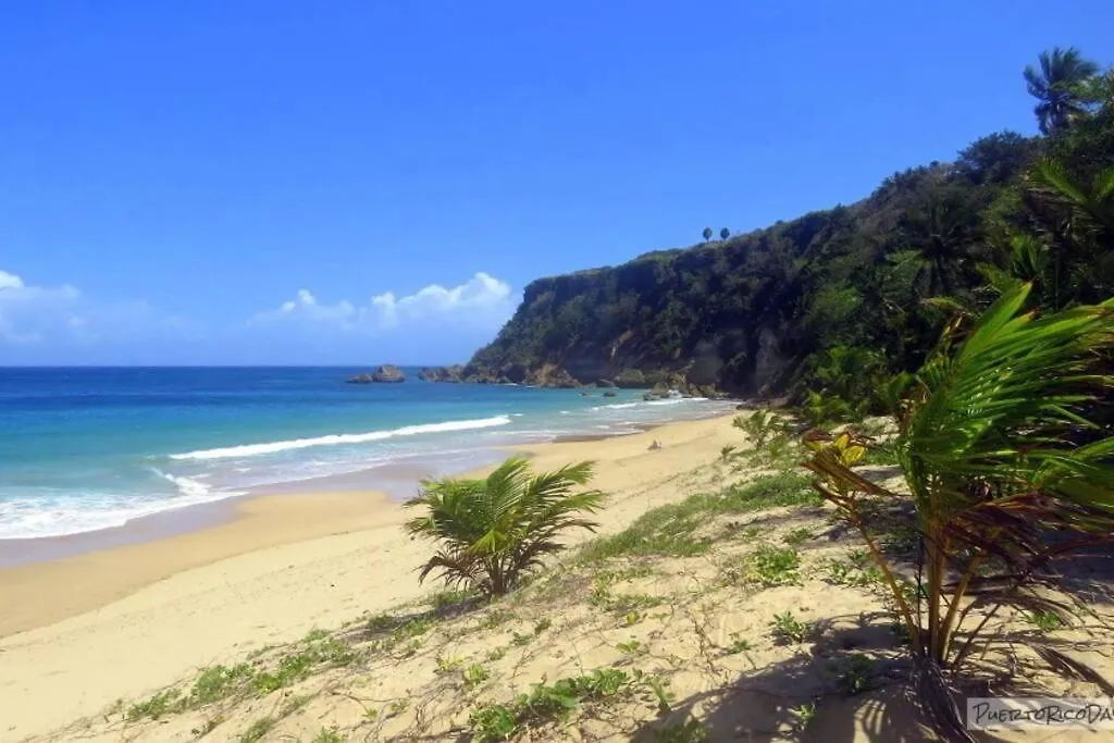 Ramey Loft 2 Διαμέρισμα Aguadilla